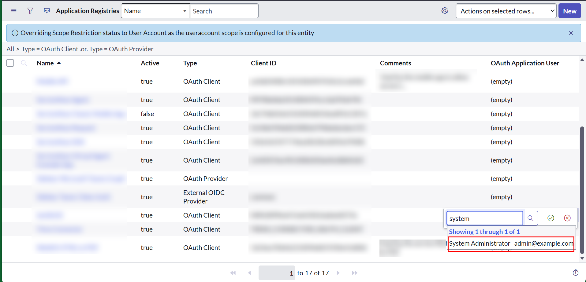 OAuth Application User
