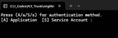 Fly_Server_Folder_Data_Deletion.exe.